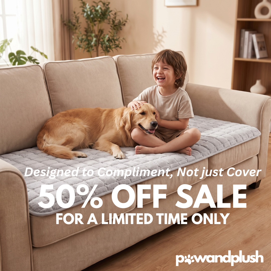 pawandplush - Family Friendly Couch Cover